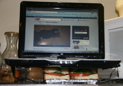 Laptop on sandwiches, running Maru video.